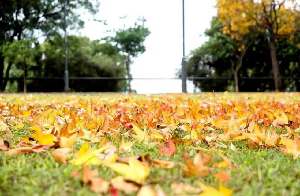 Las condiciones de otoño empiezan a acentuarse en la ciudad.