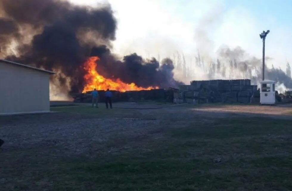 Se incendió parte del establecimiento olivícola y maicero Argensun SA ubicado en el distrito Cuadro Nacional de San Rafael.