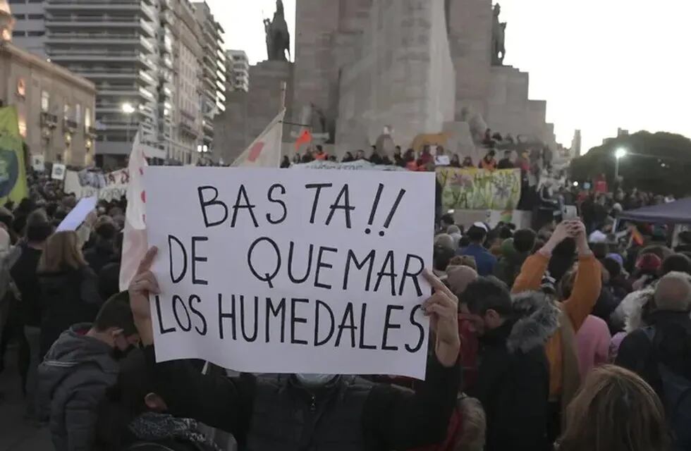 Cada vez hay más presiones para avanzar con la Ley de Humedales.