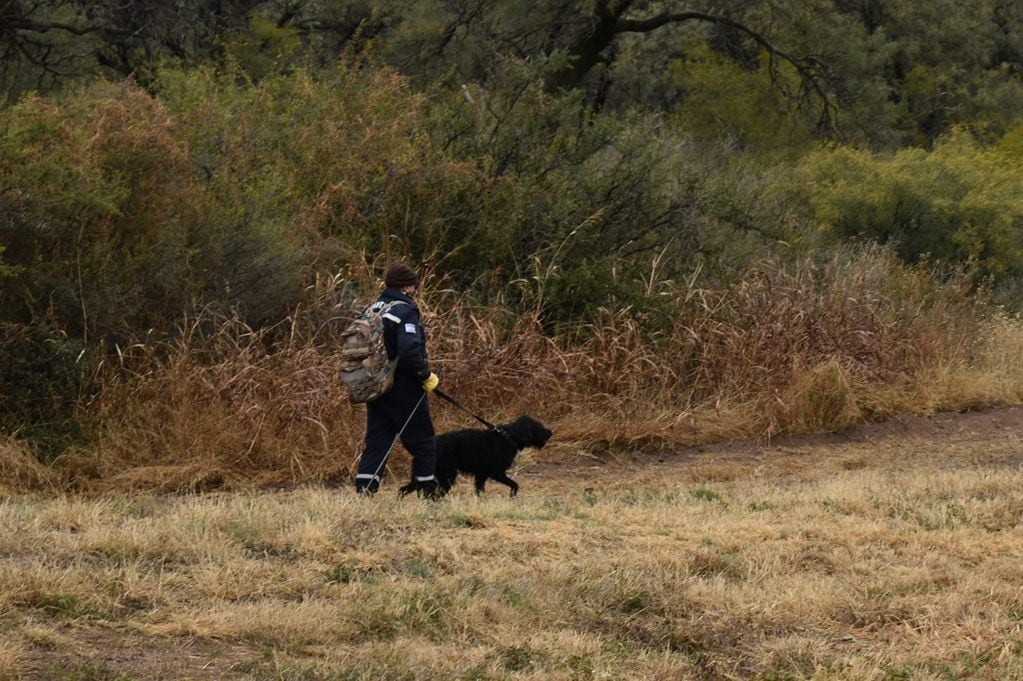 Bomberos con perros rastreadores buscan a Guadalupe en los costados de la Ruta 7 cerca de donde desapareció la niña. Gentileza ANSL