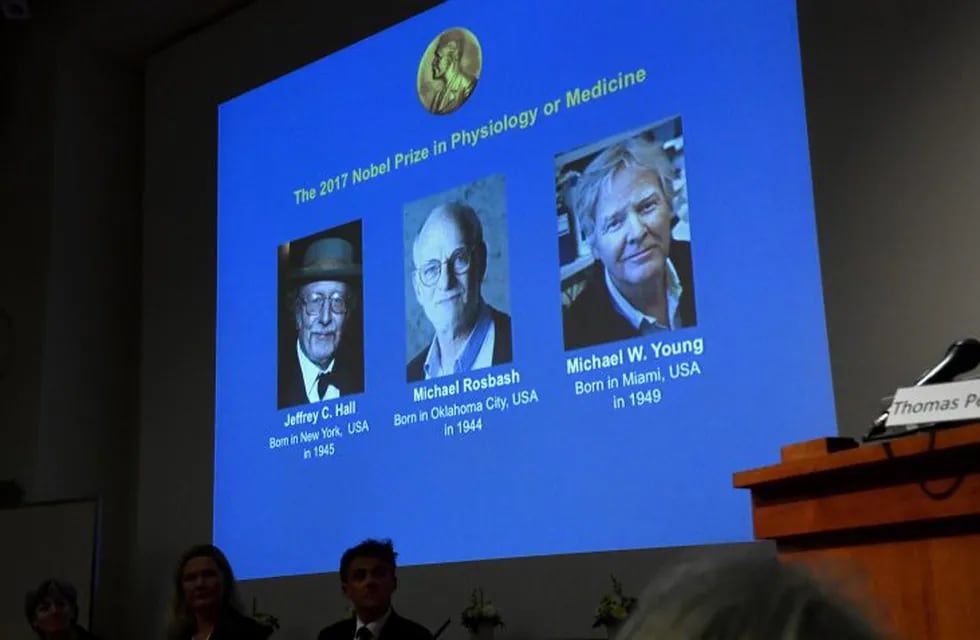 Jeffrey C. Hall, Michael Rosbash y Michael W. Young, ganadores del premio Nobel.