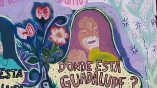 Imagen del mural realizado a Guadalupe Lucero en San Luis