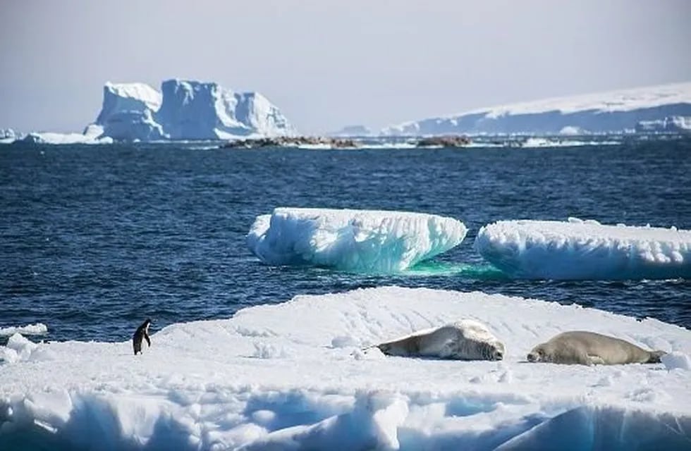 Argentina - Chile área marina protegida en la Antártida
