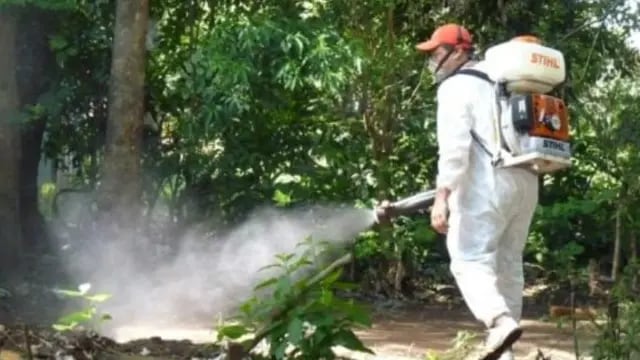 Siguen en aumento los casos de chikungunya en Misiones