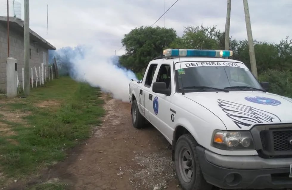 Fumigaciones contra alacranes en Alta Gracia: trabajarán en distintos barrios