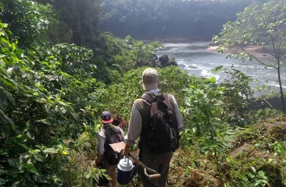 Descubren yacimientos que podrían ser de épocas pre-guaraníticas en las Cataratas del Iguazú.
