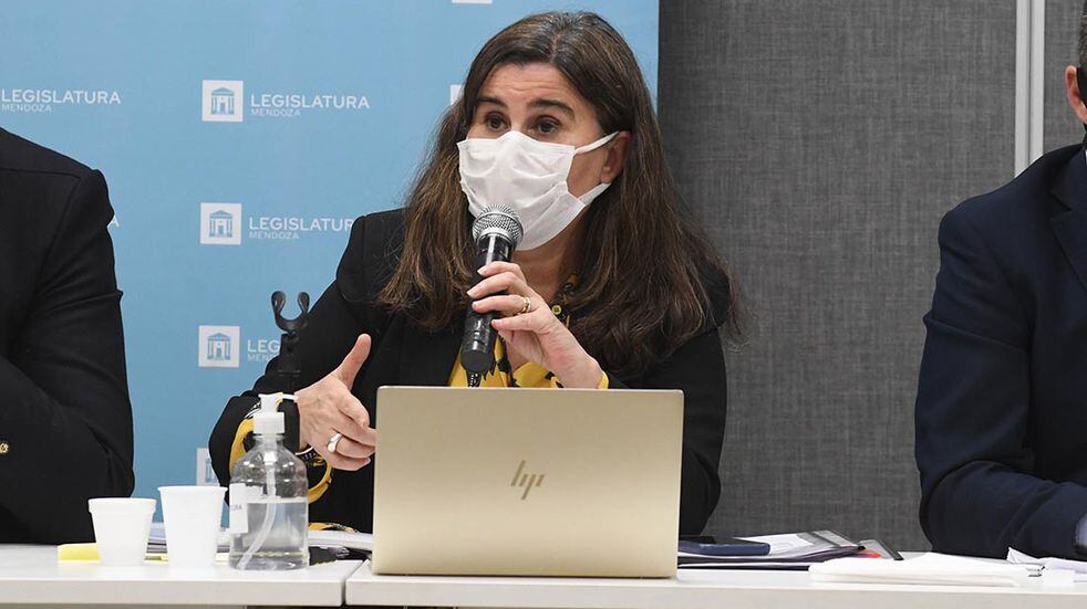 La ministra de Salud de Mendoza, Ana María Nadal, se refirió a la variante Ómicron. Imagen Ilustrativa