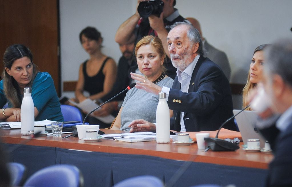 El diputado Pablo Tonelli (PRO) defendió la posición de Juntos por el Cambio (Foto: Federico López Claro)