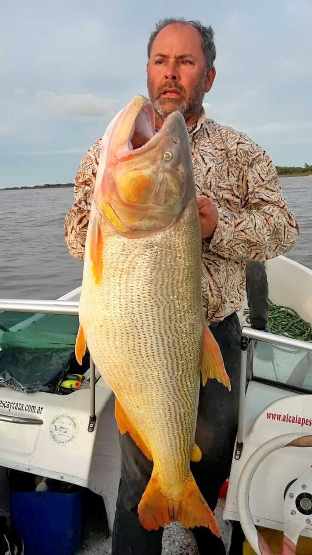 Miguel Rovera, de Alcira Gigena, pescó este dorado de 25 kilos en las aguas del Paraná. (Puntal.com)