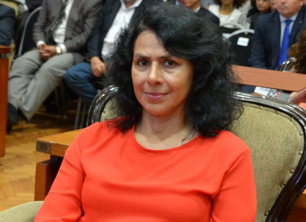 Dip. Lourdes Navarro, presidente de la Comisión de Salud en la Legislatura.