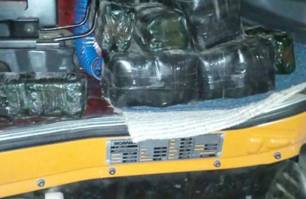 Personal de Gendarmería Nacional confiscó 25 kilos de hojas de coca que un camionero traía ocultos en el interior de la cabina de su rodado.