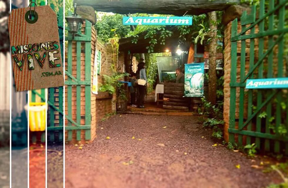 Luego de 14 años el aquarium cerró sus puertas.