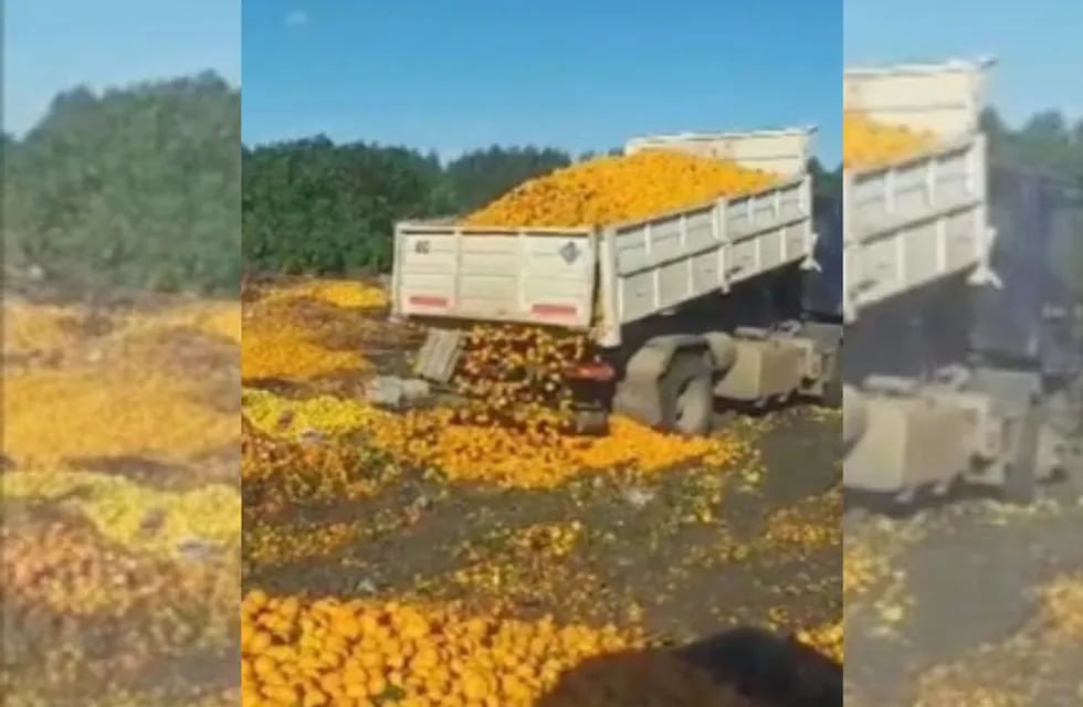 Tiraron toneladas de mandarinas en Entre Ríos
