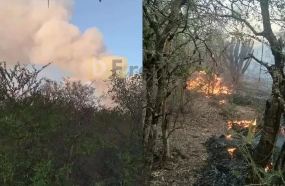 Un incendio afecta kilómetros de bosques nativos en Rivadavia Banda Sur, Salta.