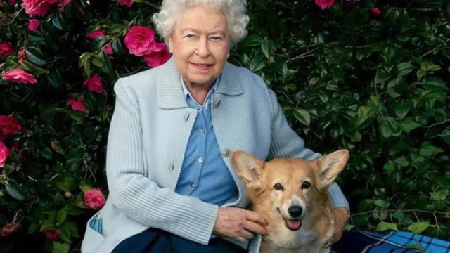 El curioso árbol genealógico de los perros de la Reina Isabel II
