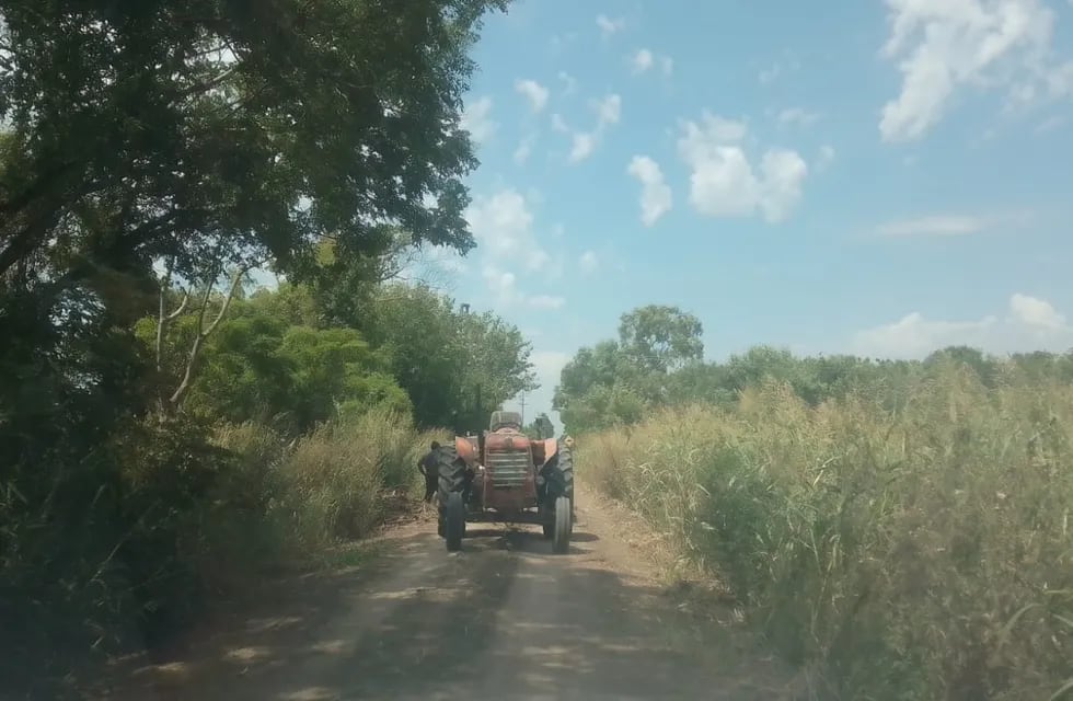 Basura en caminos rurales de Rafaela