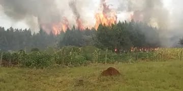 La provincia de Misiones se encuentra nuevamente con riesgo alto de incendios