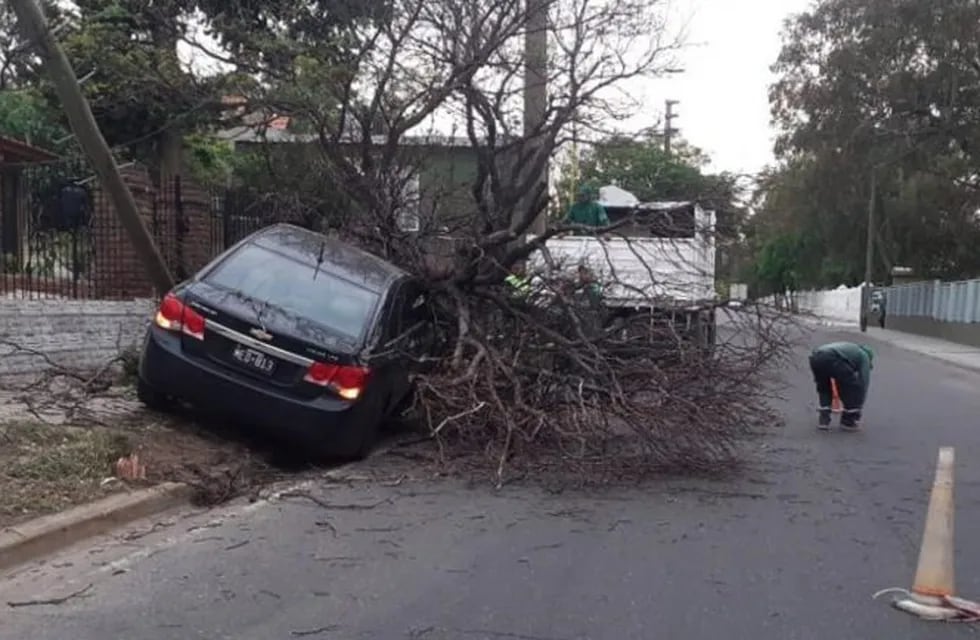 Chevrolet Cruze se estrelló contra un árbol en San Luis