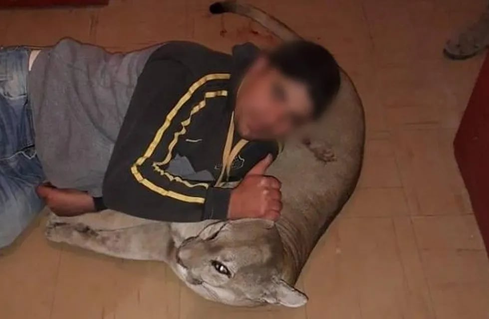 Indignación en las redes por las fotos de unos cazadores posando con un puma muerto (Web)