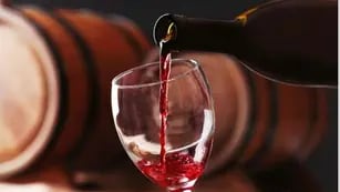 El Gobierno de Mendoza solicita a Nación retenciones a la exportación de productos vitivinícolas al 0%