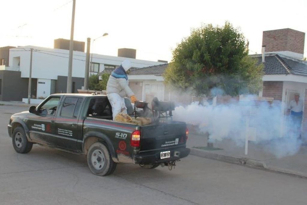 Fumigacion mosquitos en Arroyito