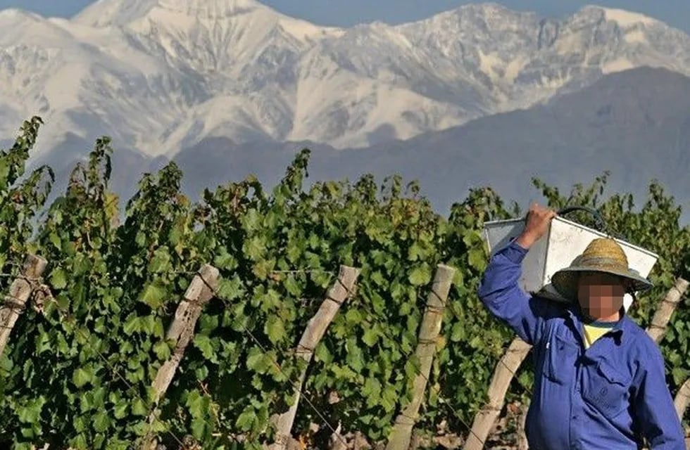 La implementación del Plan se realiza a través de un fondo rotatorio, otorgándose créditos blandos de hasta $ 300.000 por productor vitivinícola a tasa 0%.