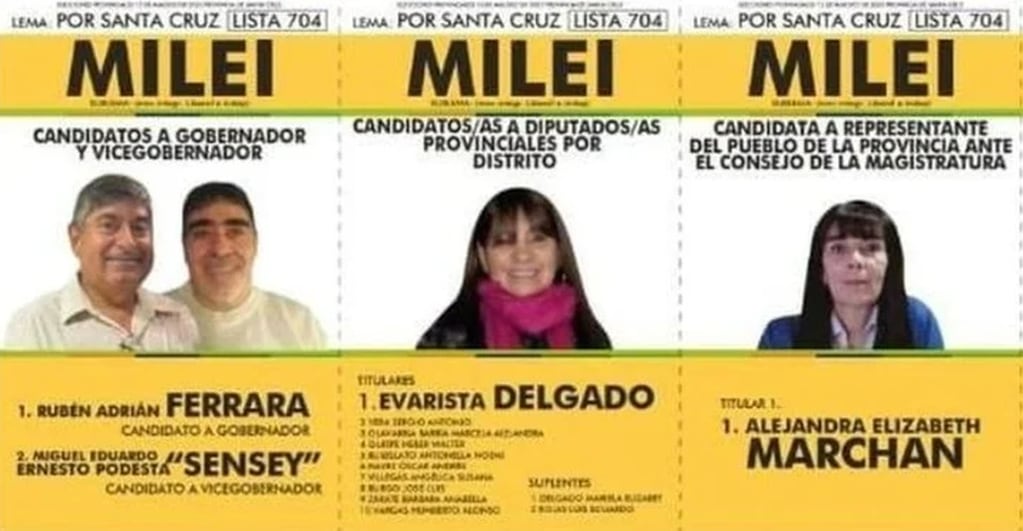 Las boletas para las elecciones de Santa Cruz que llevan el apellido de Javier Milei.