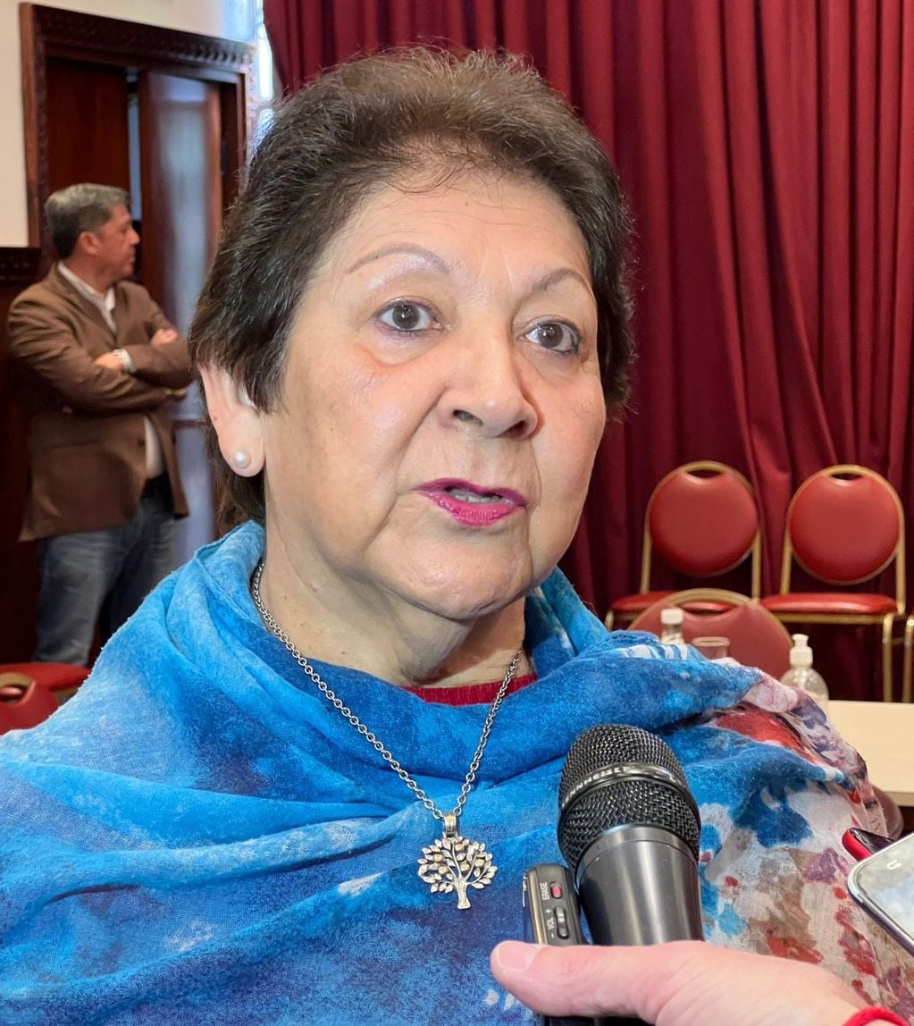 Diputada María Ferrín, presidenta de la Comisión de Educación de la Legislatura de Jujuy.
