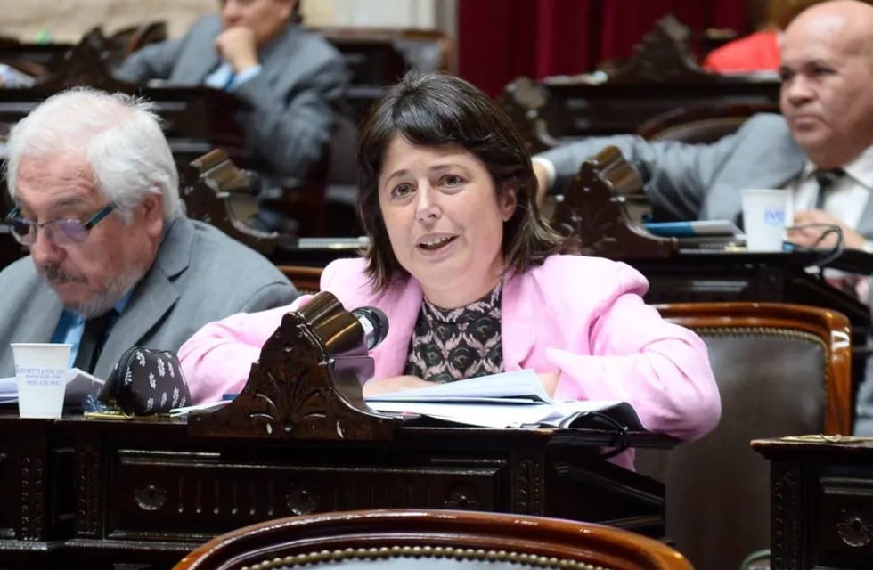 La diputada entrerriana Carolina Gaillard, presidenta de la Comisión de Juicio Político. Foto: Corresponsalía.