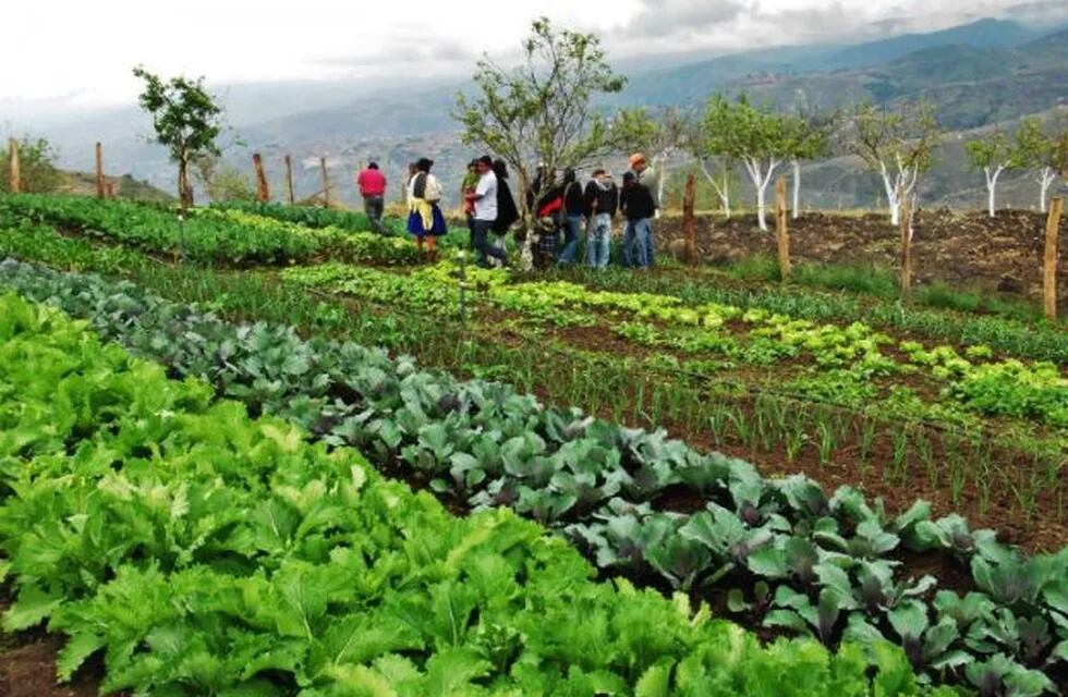 Agroecologia