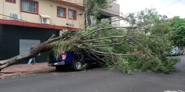 Destrozos, árboles caídos y dos personas lesionadas tras el fuerte temporal en Posadas