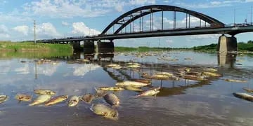 Muerte de peces en el río Salado en Santa Fe