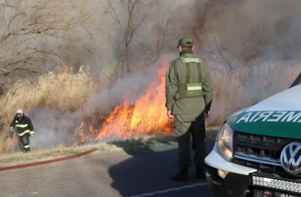 Un incendio de consideraciones provocó el corte de la Ruta 40.