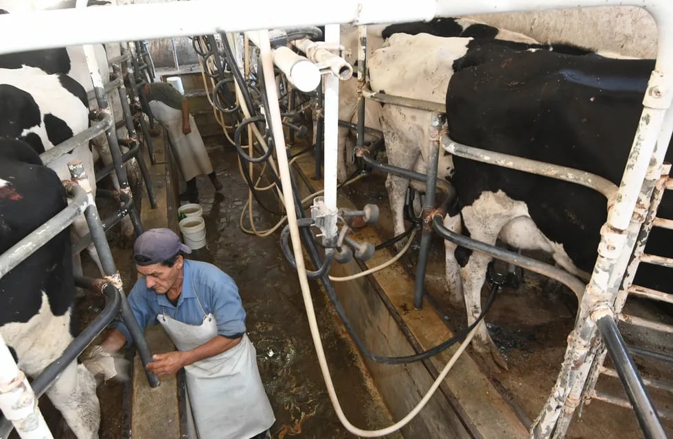 Las exportaciones lácteas crecieron en el primer trimestre 9%