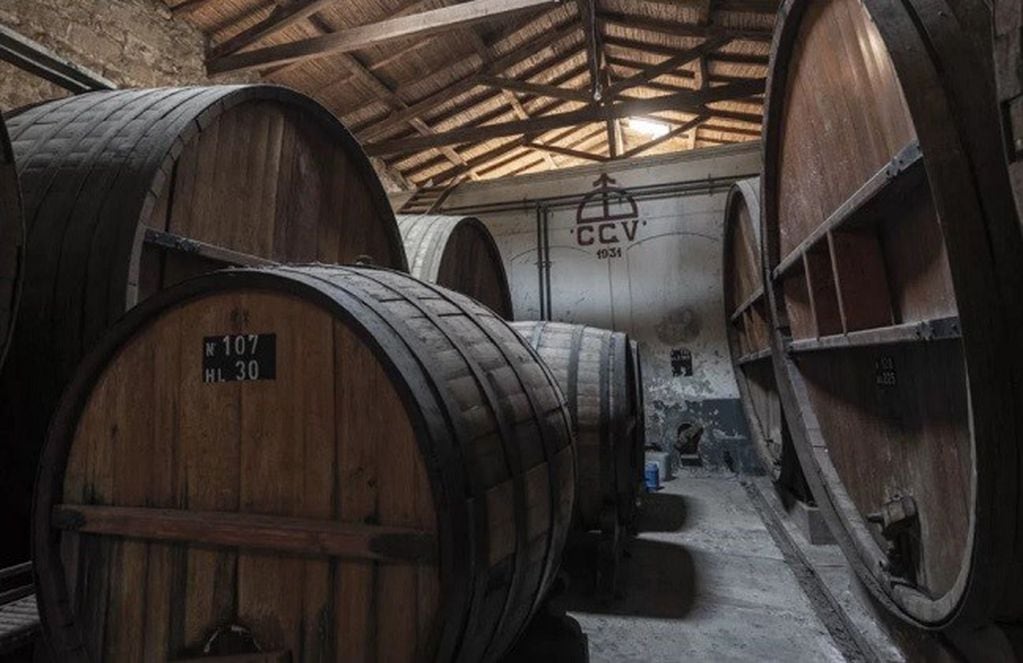 Los gigantes toneles de la finca González Videla, almacenan el vino sagrado de las tierras mendocinas.