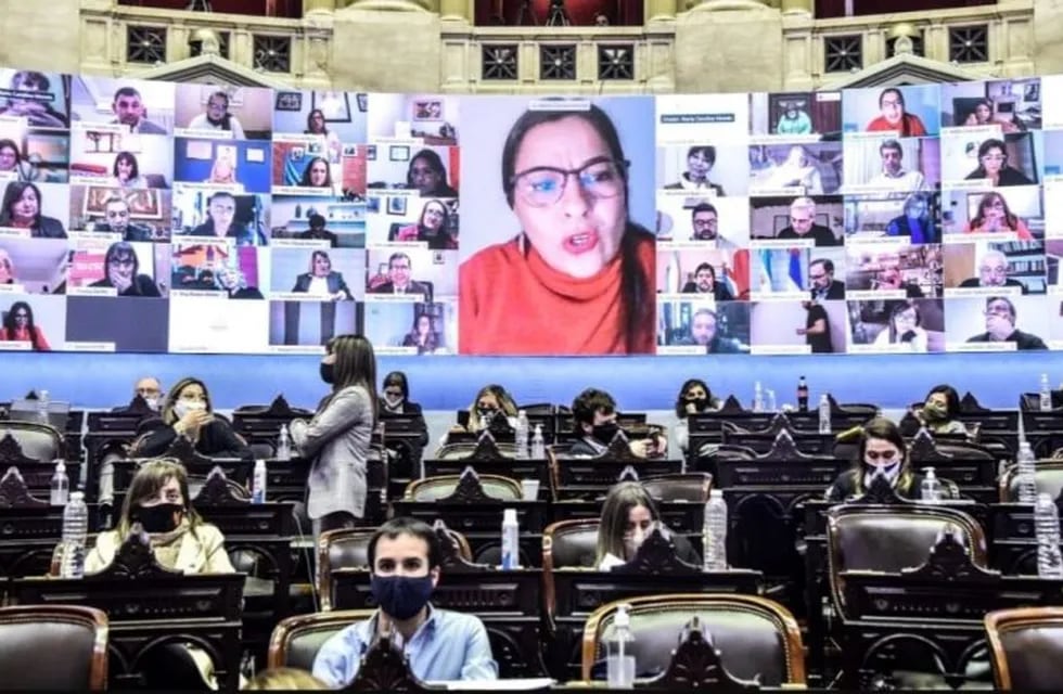 La diputada Carolina Moisés (FdT-Jujuy) en sesión virtual de la Cámara baja nacional.