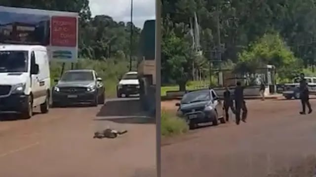 Colonia Victoria: detienen a un individuo que asesinó a un perro y luego intentó atacar a efectivos policiales con un machete