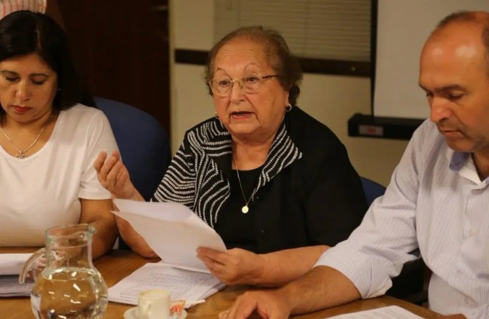 Legisladora Silvia Noemí Gigena (centro), presidenta de la Comisión de Derechos Humanos y Desarrollo Social.