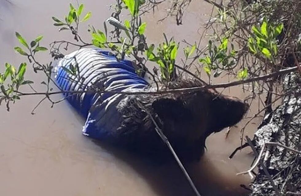 Rescate Bomberos Arroyito perro Rio Xanaes