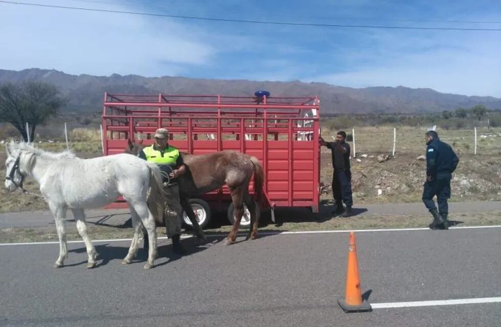 Fue ayer a la tarde, en el kilómetro 30 de la Autopista 25 de Mayo, jurisdicción de la comisaría de Villa de la Quebrada. Foto: Policía de San Luis.