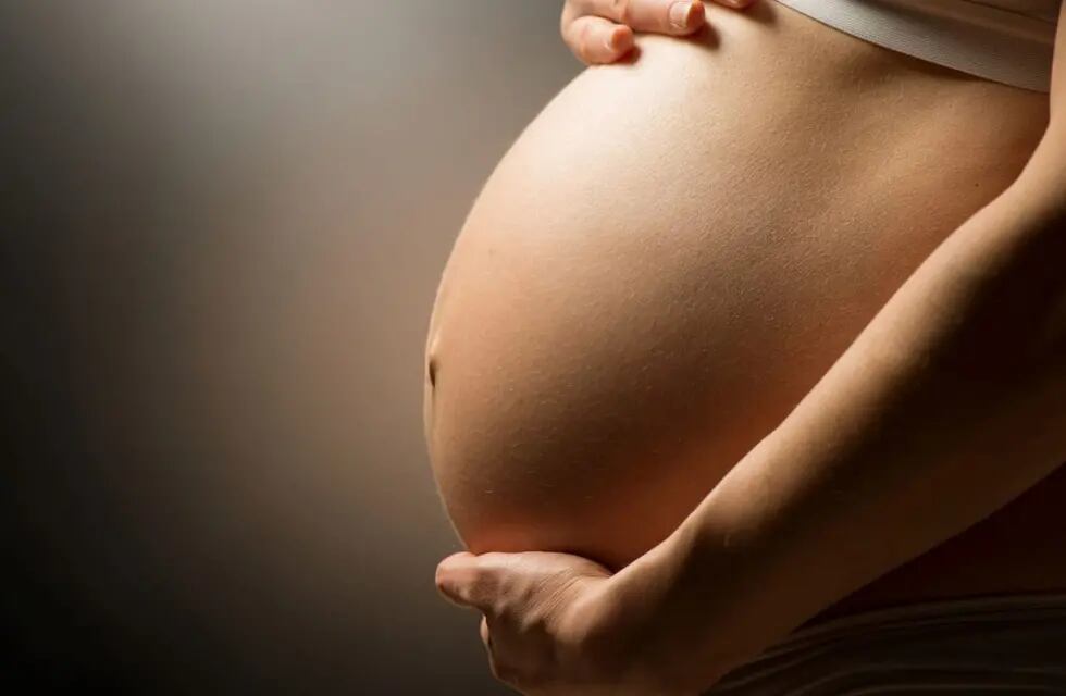 Agrotóxicos: qué efectos tienen en la salud de las mujeres embarazadas y sus hijes
