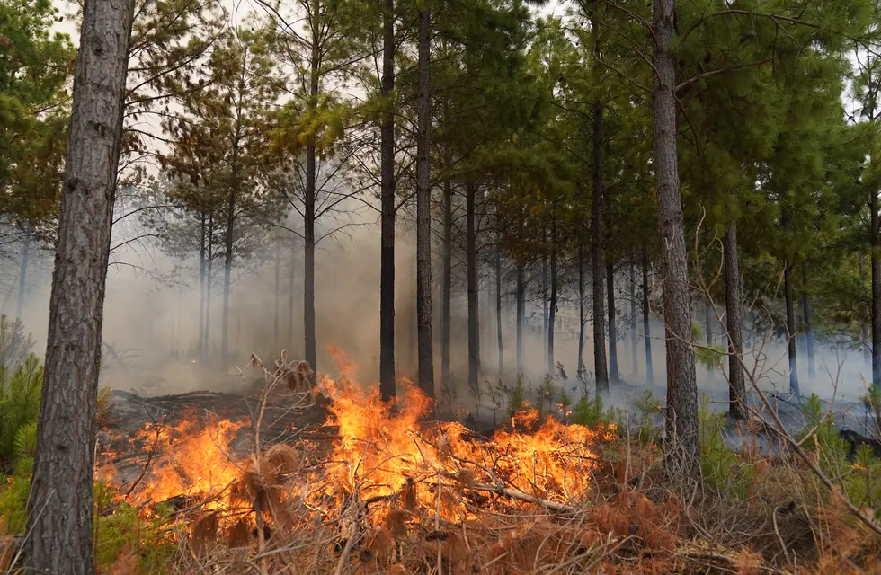 Incendios en la provincia de Corrientes: bomberos y lugareños combaten el fuego (FOTO CLARIN).