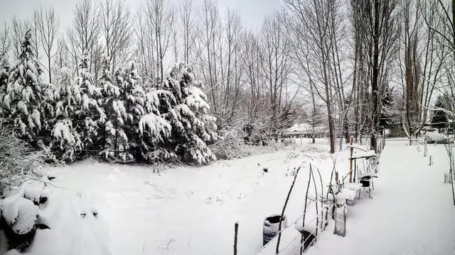 Nieve y frío en Mendoza