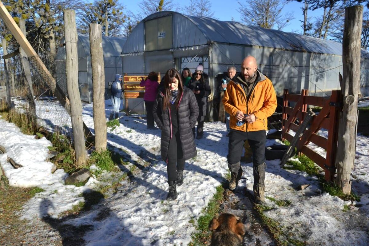 Iniciaron la nueva temporada de plantación en cercanías a Tolhuin