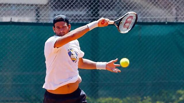 Juan Martín Del Potro Tenis