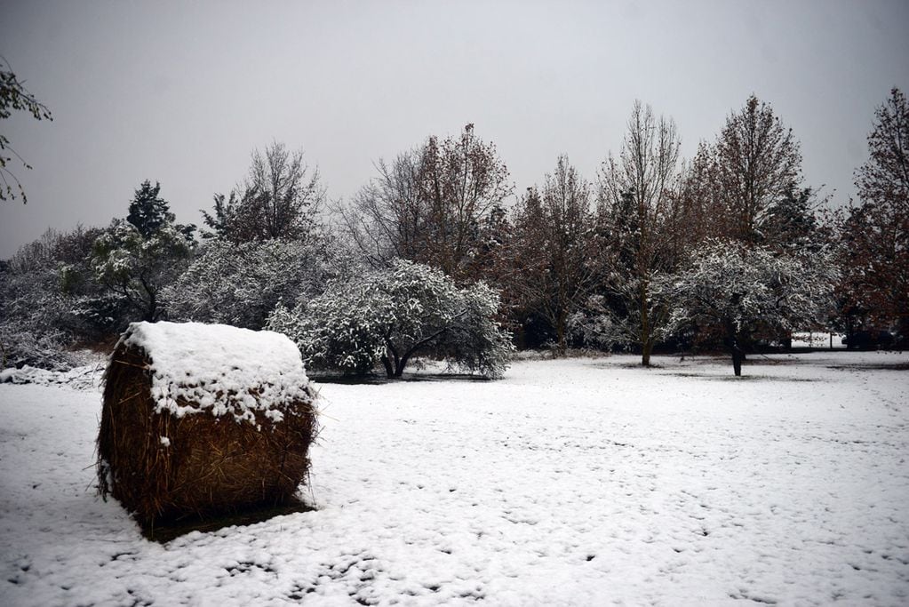 Una intensa nevada cayó en la provincia de Córdoba durante la noche y parte de la mañana del miércoles.  (Nicolás Bravo)