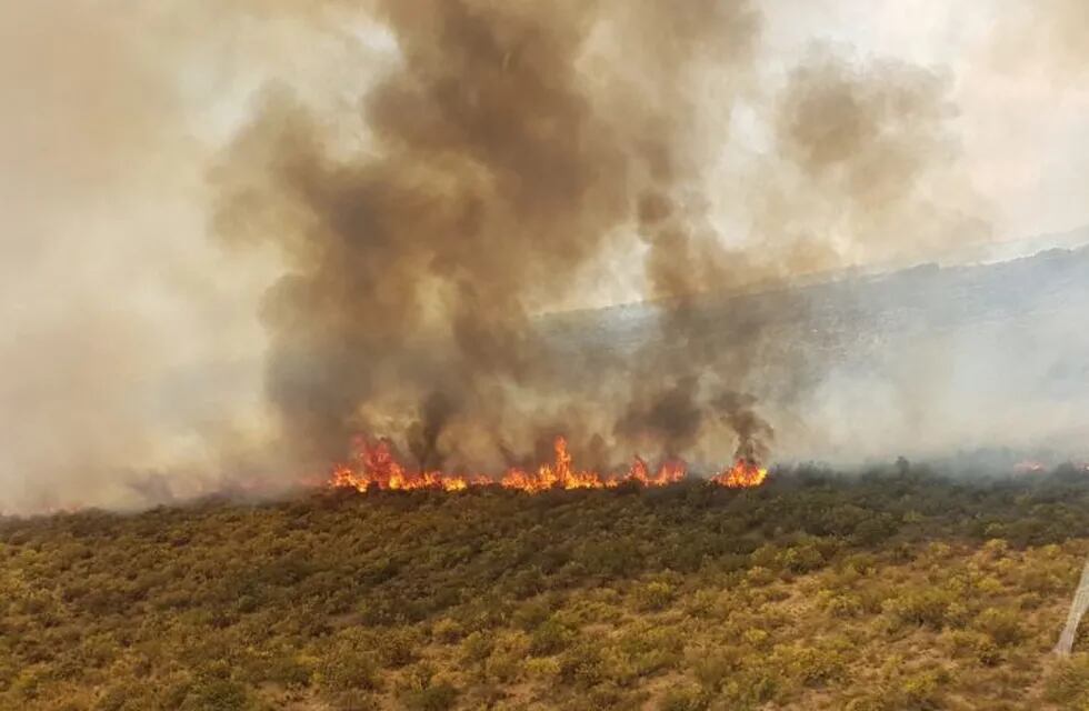 Incendios forestales quema ilegal mendoza campos incendiados