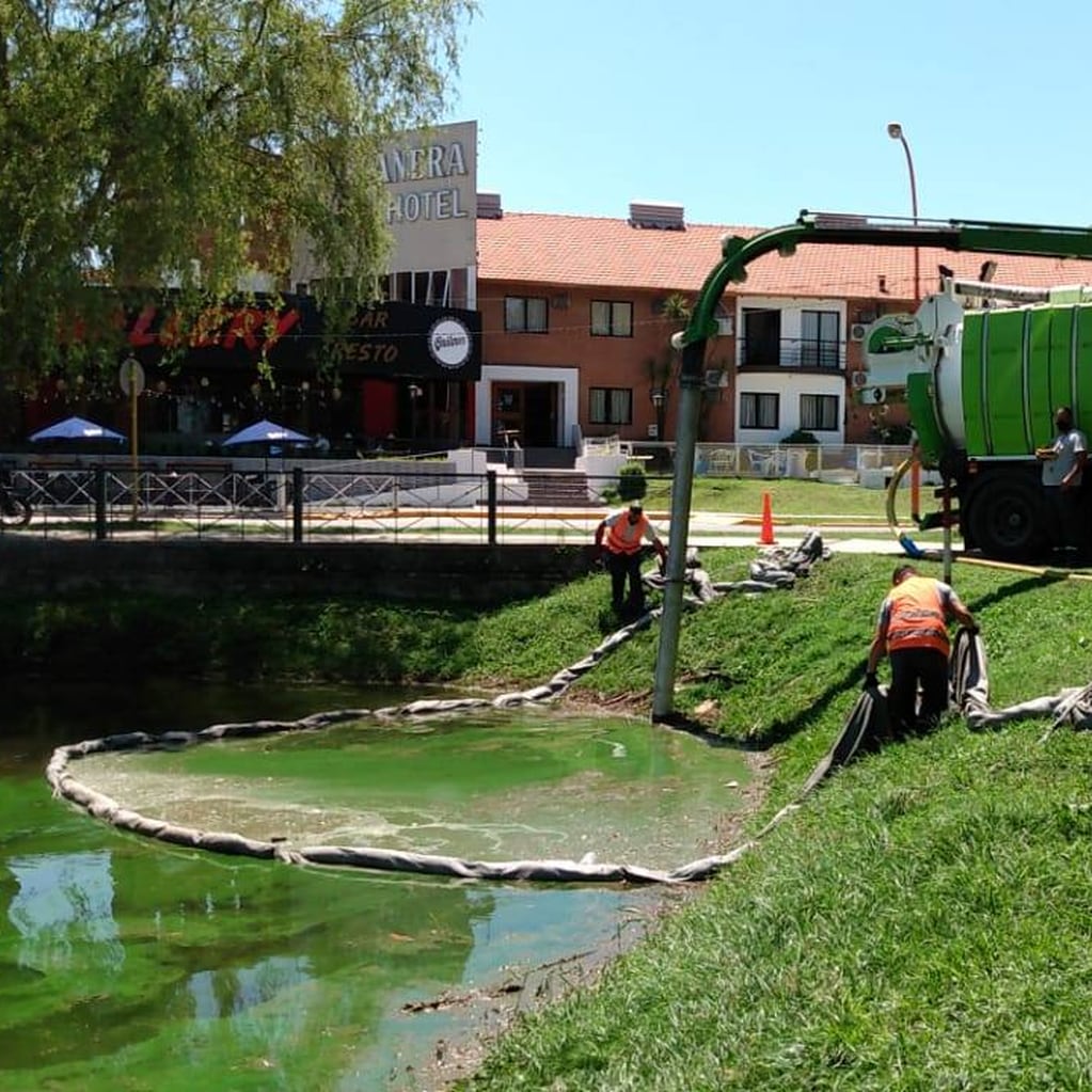 Extracción mecánica de las cianobacterias en el lago San Roque.