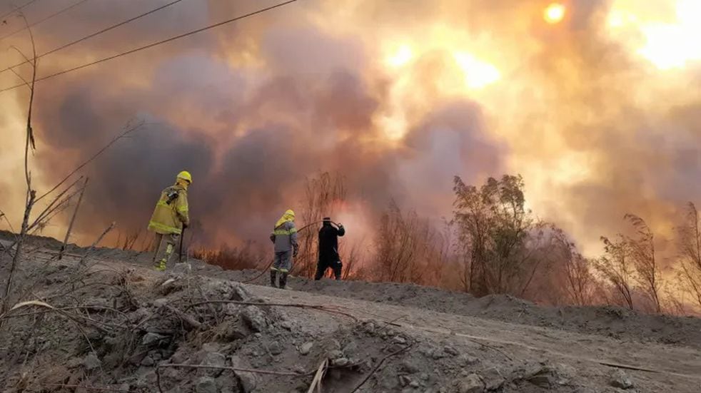 El incendio se produjo en la reserva ecológica Parque Sarmiento, en el departamento de Zonda.