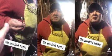 Video viral del carpintero cordobés